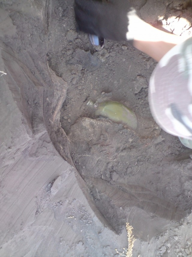 Оржицкая общественная организация Мемориал