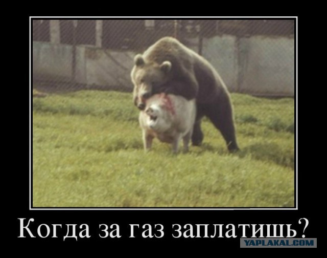 Наблюдатели ОБСЕ не подтверждают вторжение.