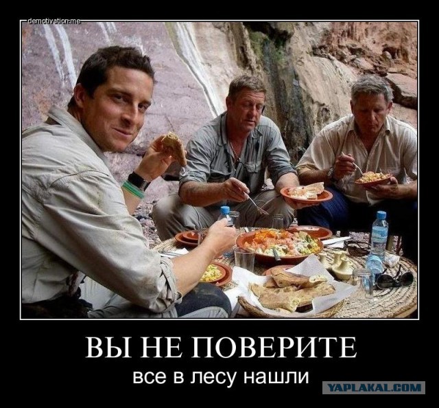 Шалашом не назовешь. Маленький домишка