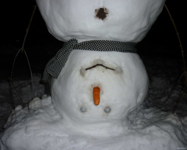Шизовик-снеговик.