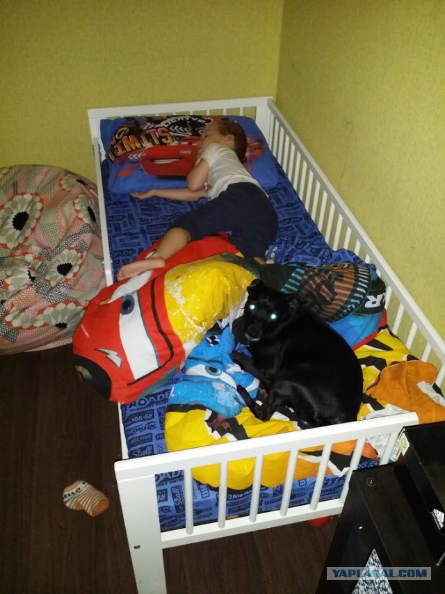 Собакочетверг же, ау!