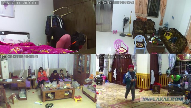 За что я люблю китайцев