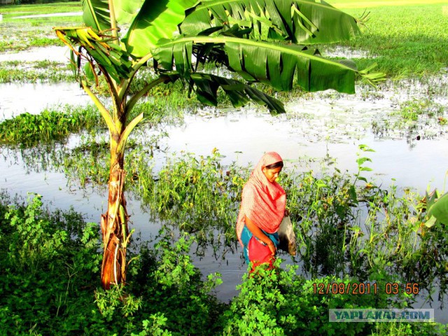 Что такое Бангладеш?