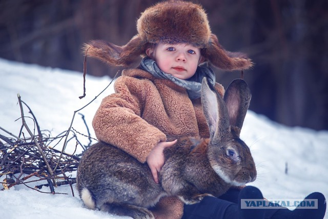 Славянская Душа