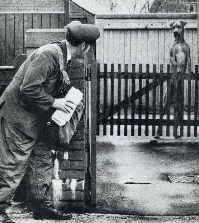 Фото сделанные в нужный момент