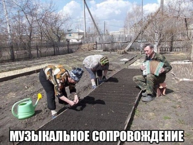 40 улыбательных картинок