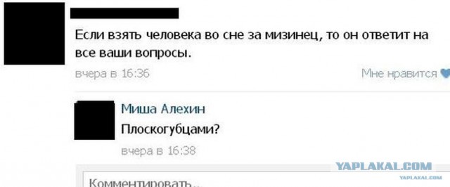 Ужасы и приколы из соцсетей 18+