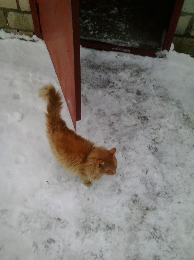 Рыбалка в «глухозимье»