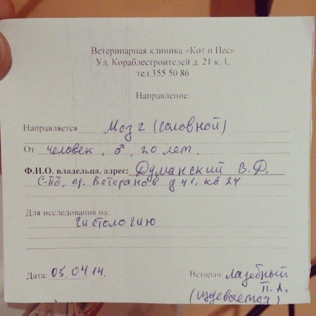 Приходи ко мне лечиться и корова, и волчица! Тема о буднях ветеринарных врачей.