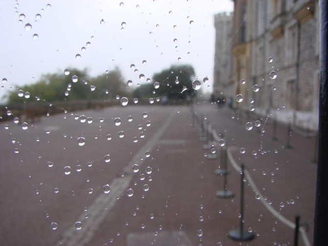 Капельки