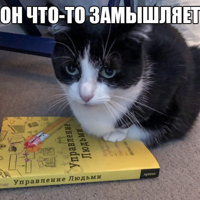 Нестандартный юмор