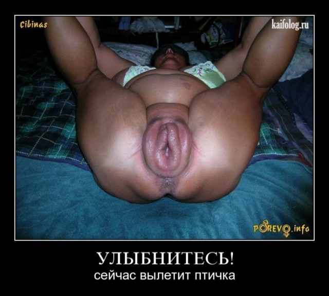 Итоги проверки пользователей