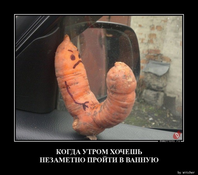 Картинки по-приколу
