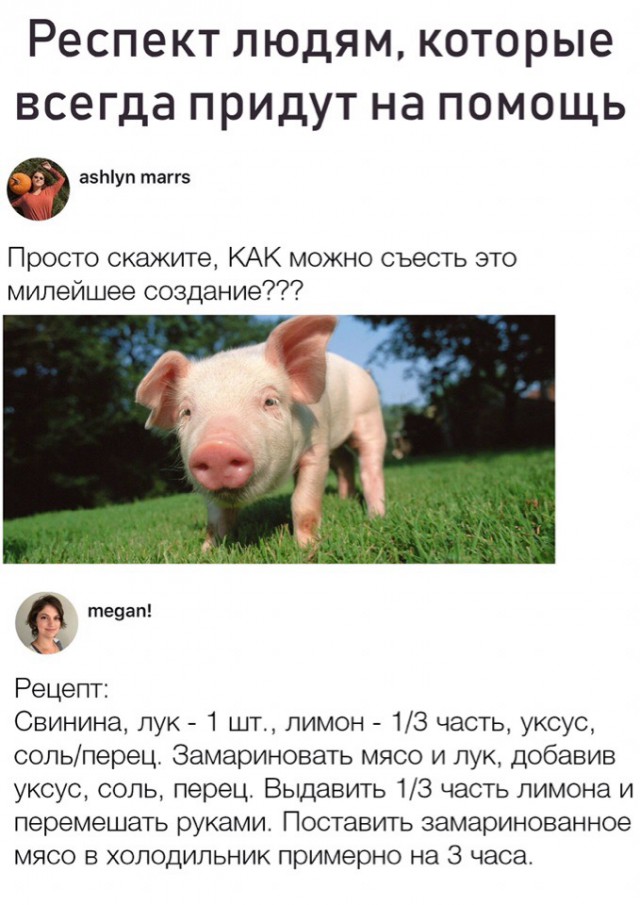 Немного аморального юмора