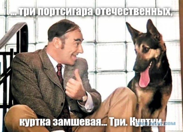 Сызрань, вечер, типичная вечеринка без бассейна, зато с алкоголем, погромами и большой светлой любовью