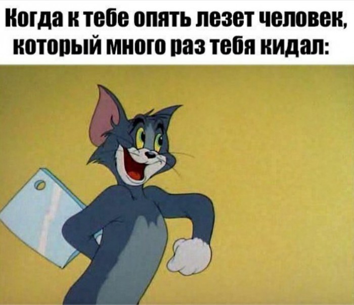 Днем, приколы про том и джерри картинки