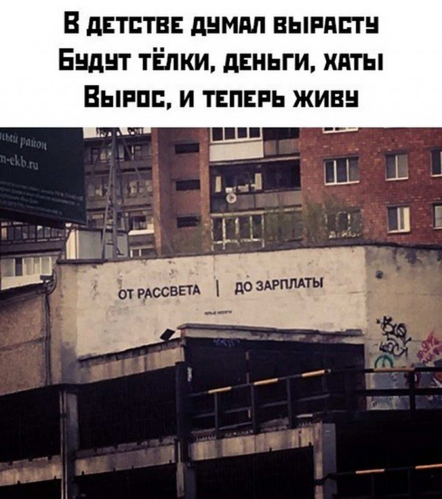Асфальт, стены, заборы... Так пить или жить?
