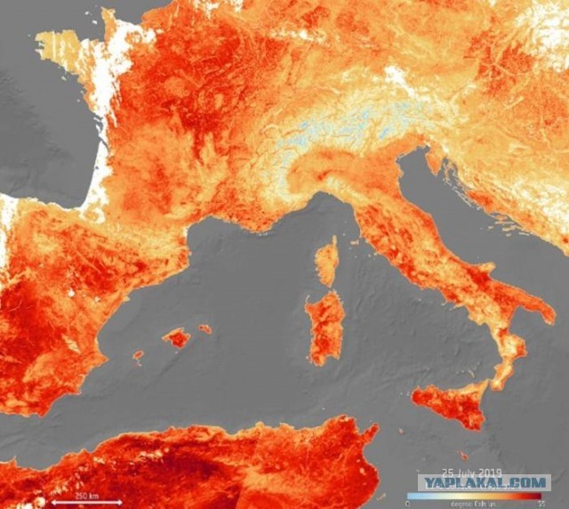Жара на западе Европы побила рекорд температуры несколько раз за лето. Она выводит из строя поезда и вызывает пожары