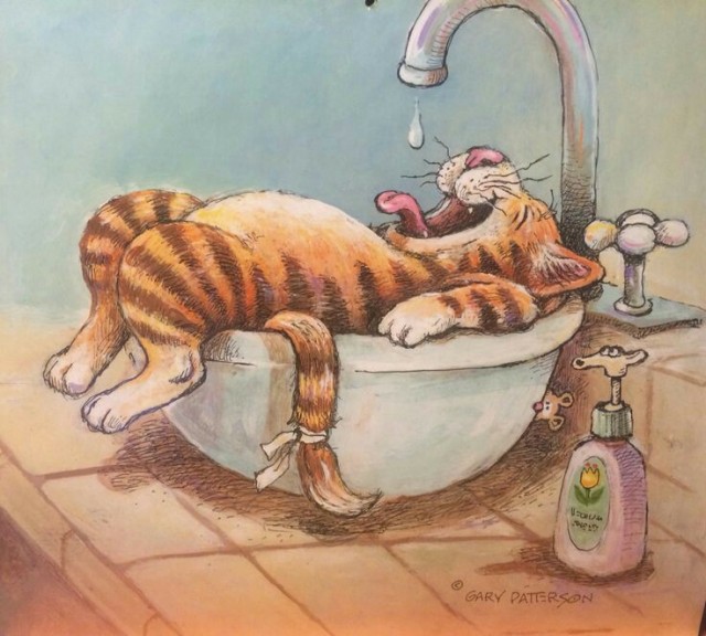 С котопятницей! Улыбнемся?