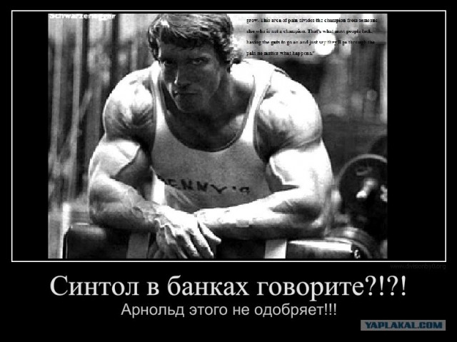 Синтол в банках - а есть ли смысл?