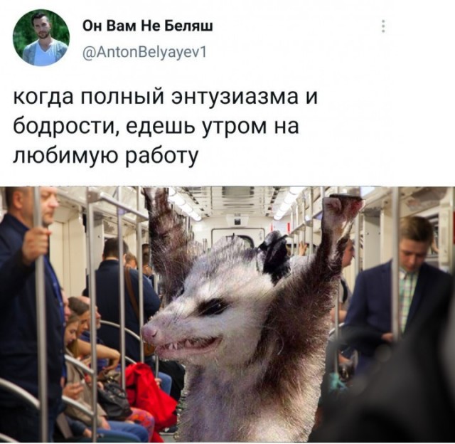 Картинки и мемы для настроения 024