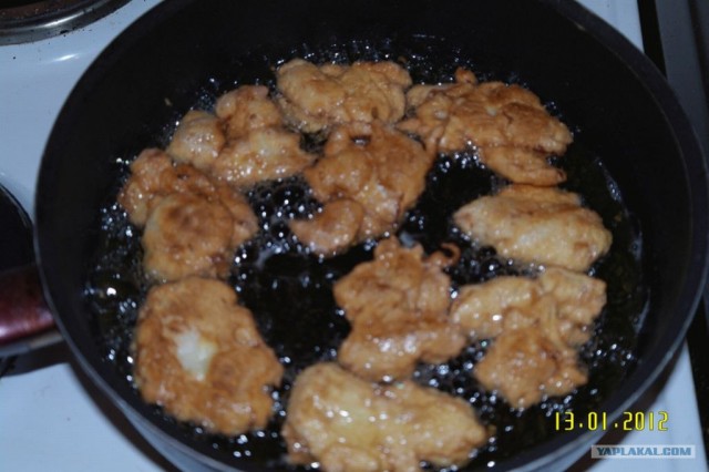 Все из рыбы!