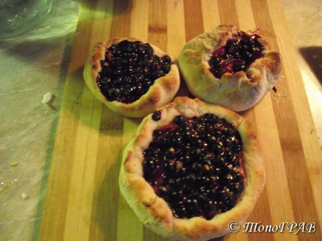 Пятничные посиделки на теплотрассе ©