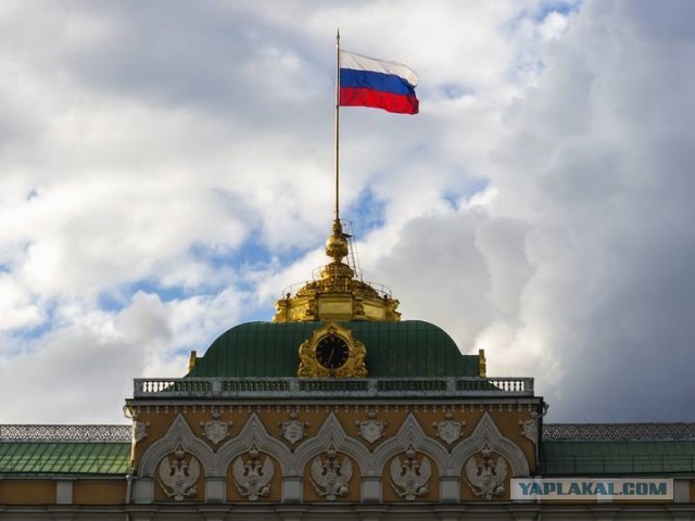 Первые ласточки. Весна 2022.