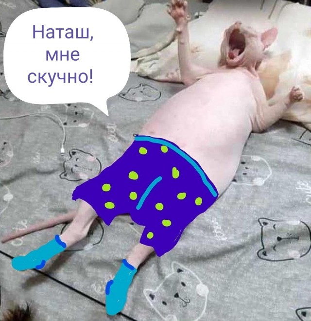 Забавные комментарии из социальных сетей (13.02.23)