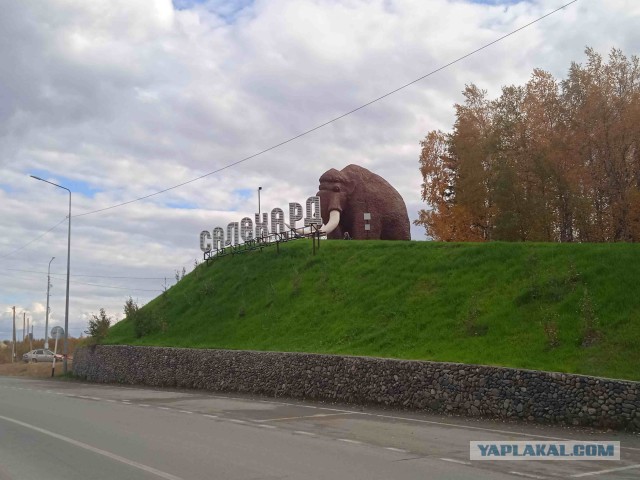 Полярные выходные