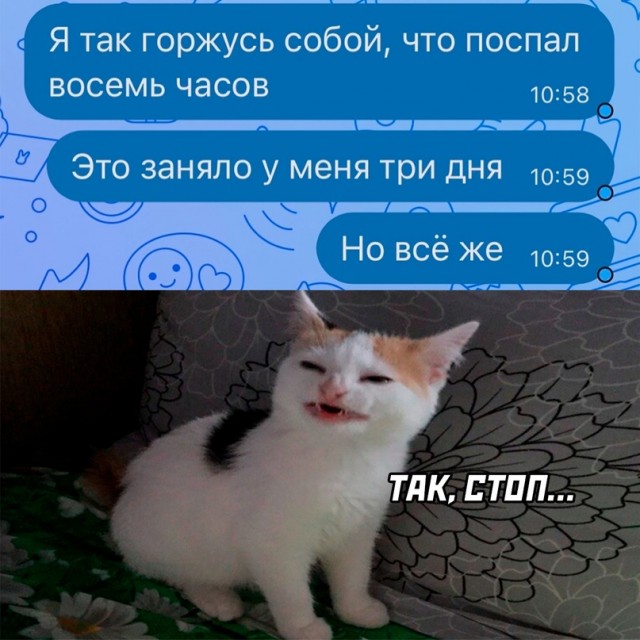 Весёлый полтишок 08.05.23
