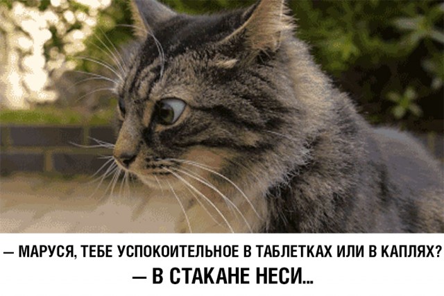 Немного картинок и прочей хреноты Vol. 23