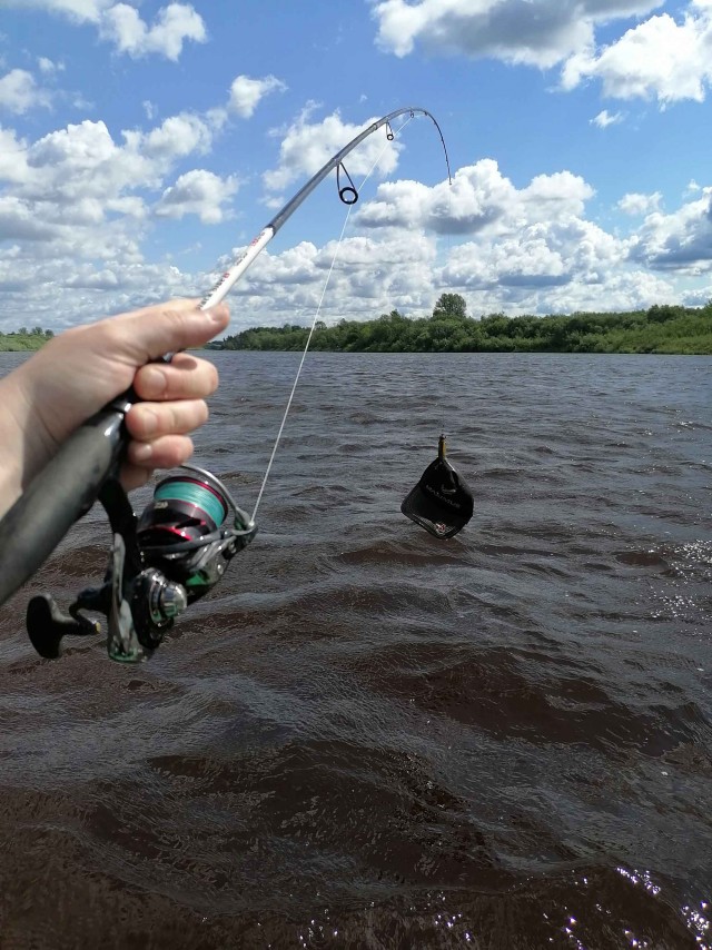 Один в лодке, не считая собаки