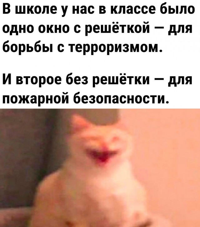 Так себе картинки 14.09.23