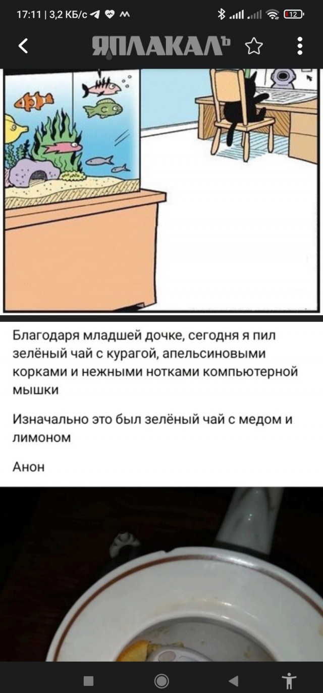 Так себе картинки 27.09.2023