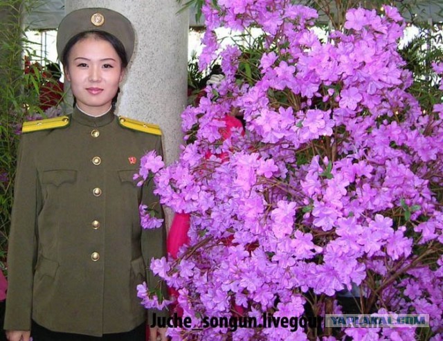 Товарищ Ким Чен Ын