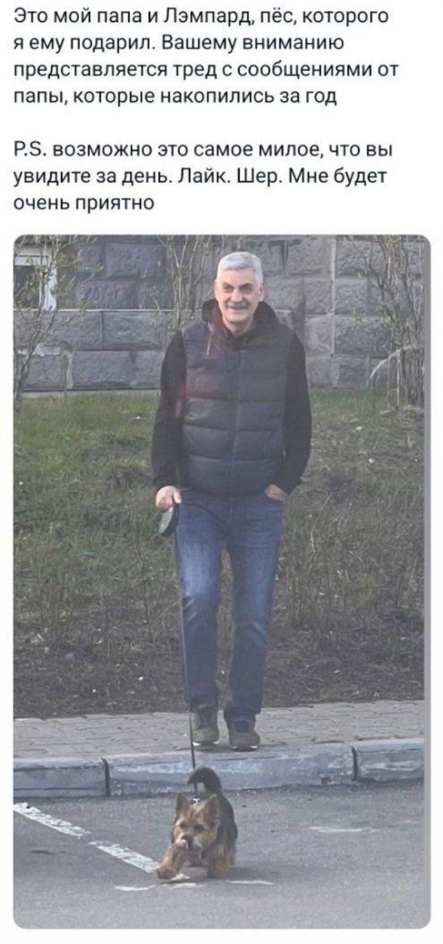 Чел подарил бате собакена и тот начал скидывать сыну истории обо всех их совместных приключениях