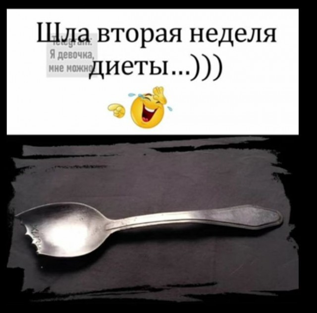 Немного забавных картинок от 22.12.24