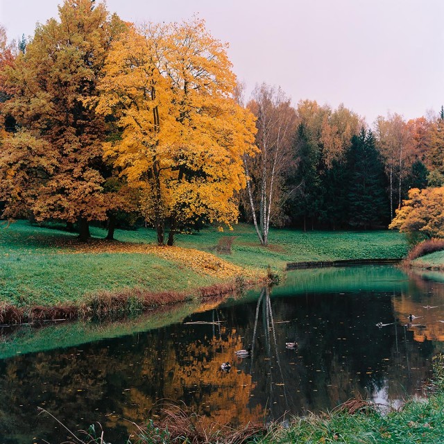 Чёрно-белый Петербург
