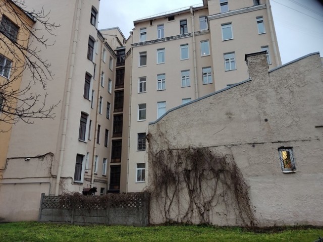 Куда пойти в Петербурге?