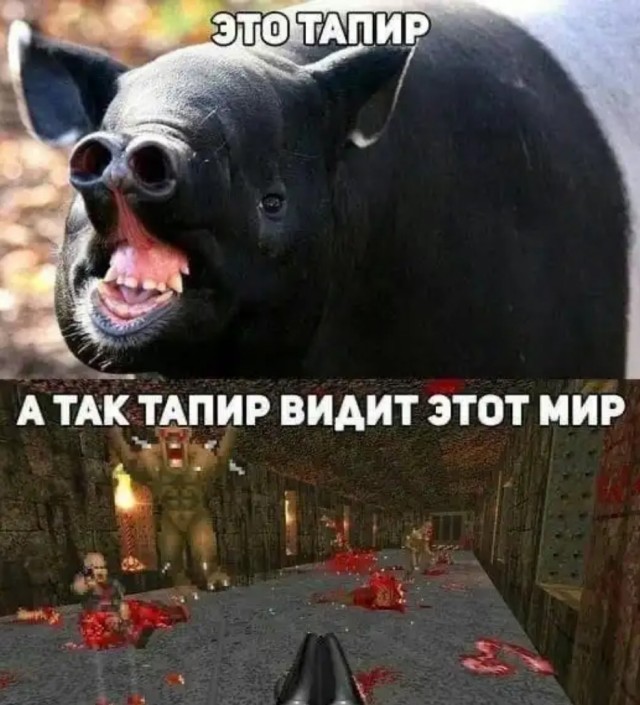 Завалялось тут случайно немного забавных картинок