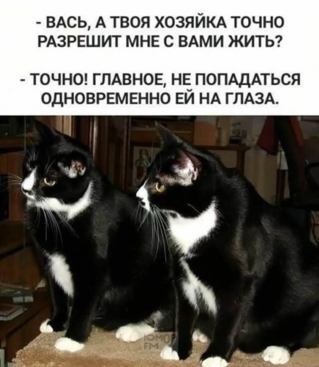 Для настроения в четверг!