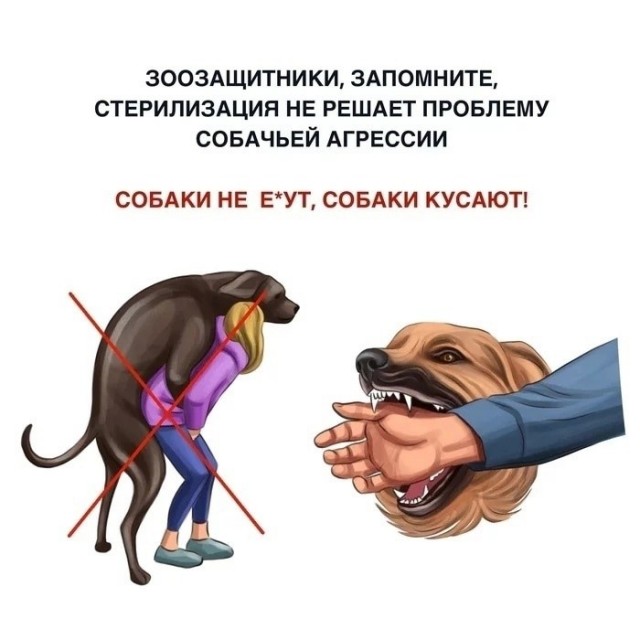 Житель Чеховского района Московской области спасает жителей от собак