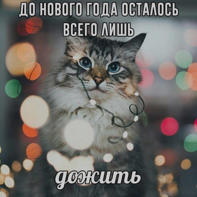 Летели два напильника, летели на боку