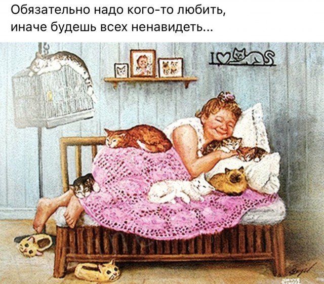 Прикольные и просто красивые картинки 18.11.2025