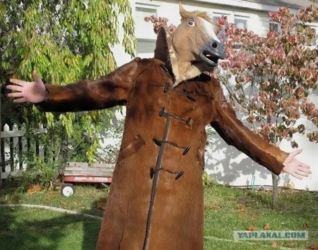 Я плиточник, я так вижу..