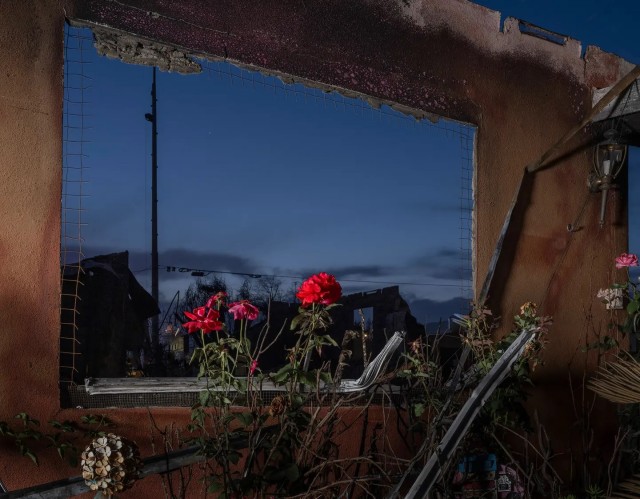 Лучшие фотографии года по версии журнала "Time"