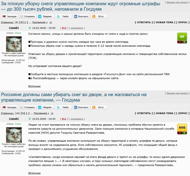 Россияне должны сами убирать снег во дворе, а не жаловаться на управляющие компании, — Госдума