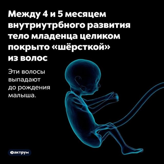 Куча мала 13