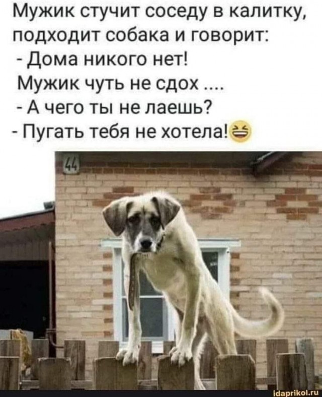 Воскресные картинки